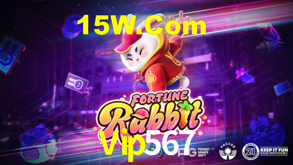 Vip567 App Interface