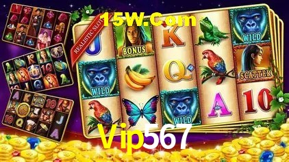 Especiais de Fim de Semana Vip567